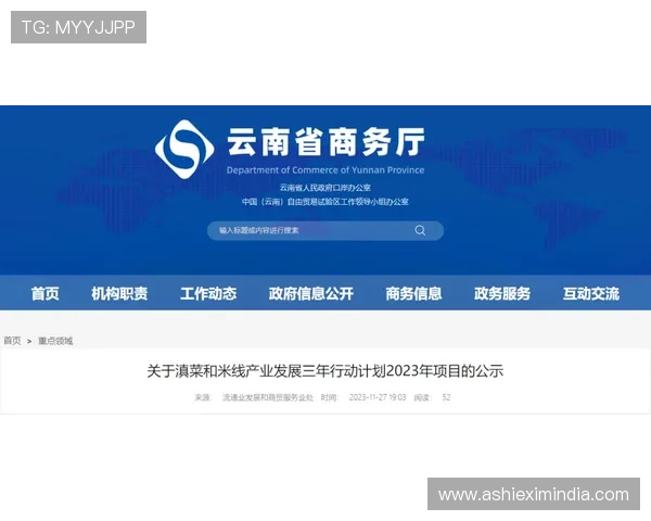 美高梅网站在线客服支持与投诉处理流程